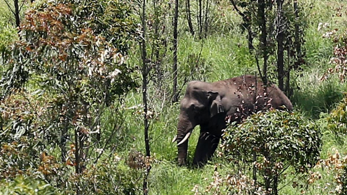 Probe launched into fund collection in the name of Arikompan