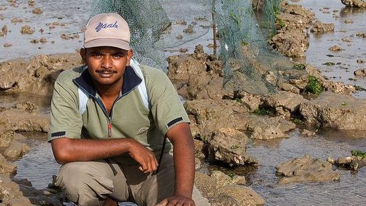 Tech Meets Nature: Arpit Deomurari's Journey into Conservation Technology