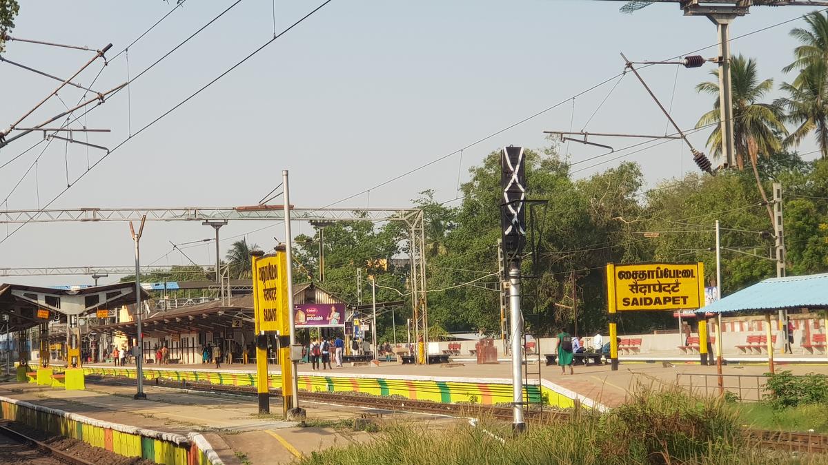 Train services towards Beach affected after tree branch falls near Saidapet station
