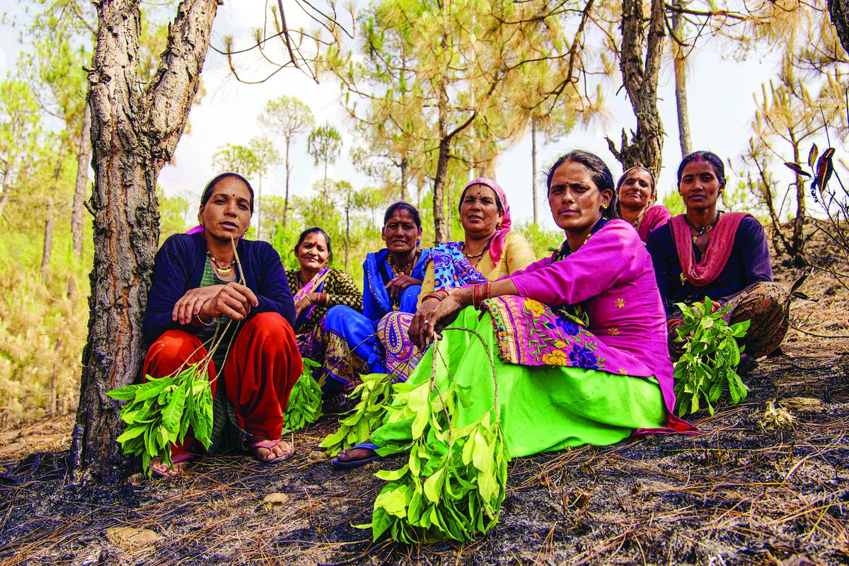 Members of a women’s collective gather at a patch of forest scorched by one of the several wildfires that have ravaged Sitlakhet in Uttarakhand’s Almora district. As forest fires have risen sharply in recent years, the Mahila Mangal Dal works closely with the State Forest Department officials in firefighting. 