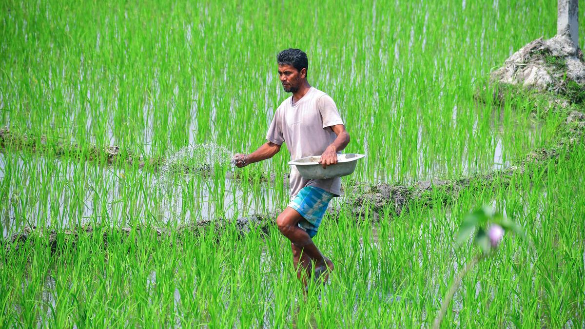 Centre raises fertilizer subsidy for kharif season