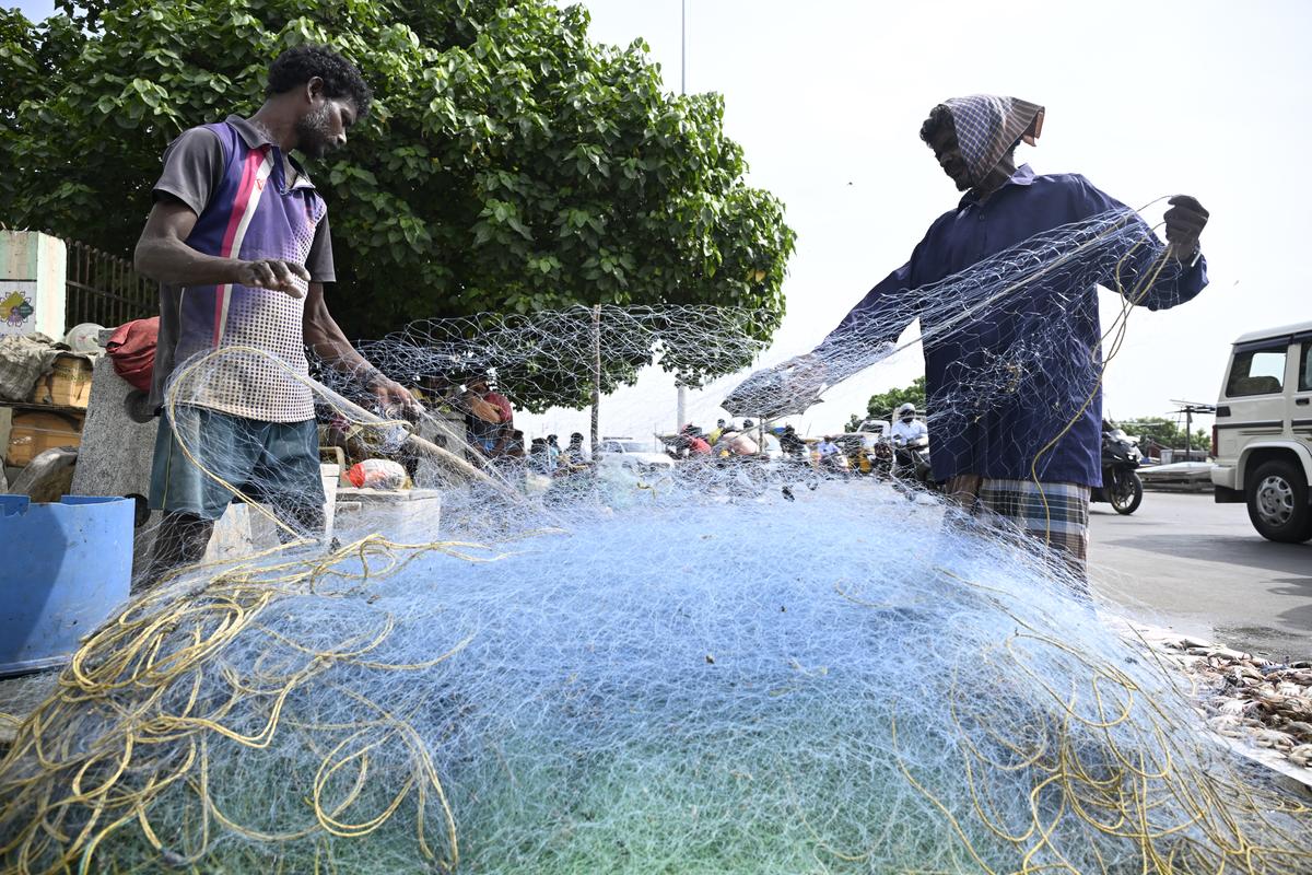 With their fresh catch With their fresh catch