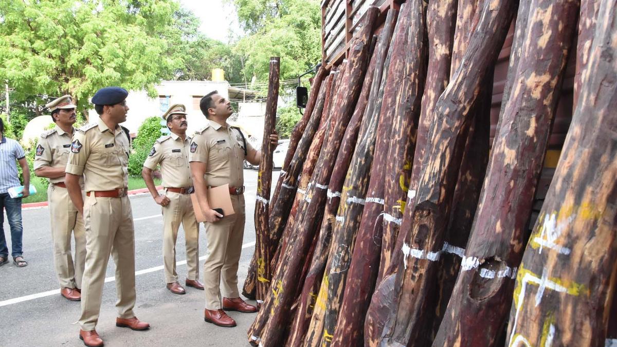 158 red sanders logs seized, five arrested in Kadapa district