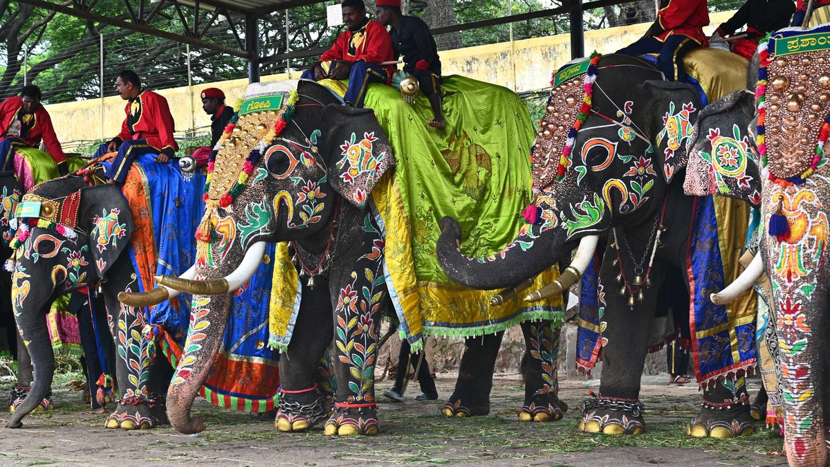 An artist’s task of beautifying Dasara jumbos