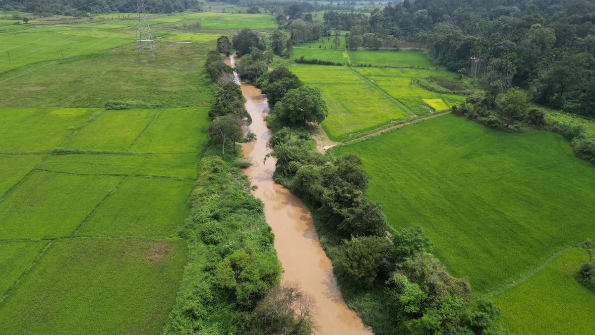 Ecosystem in Cauvery’s birthplace cries for attention amidst 42% deficit in southwest monsoon rainfall