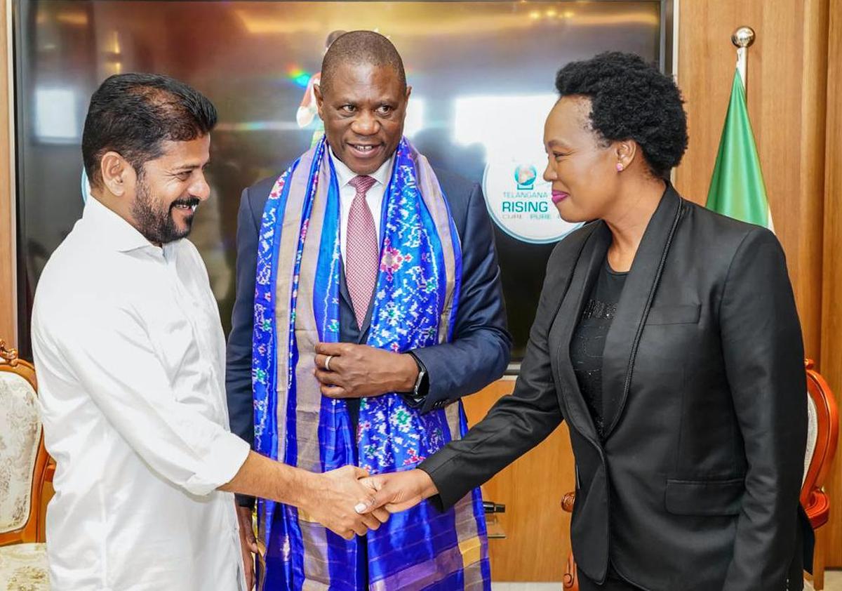 thehindu.com - Govt. enters into agreement with South Africa in education, medical tourism and investments