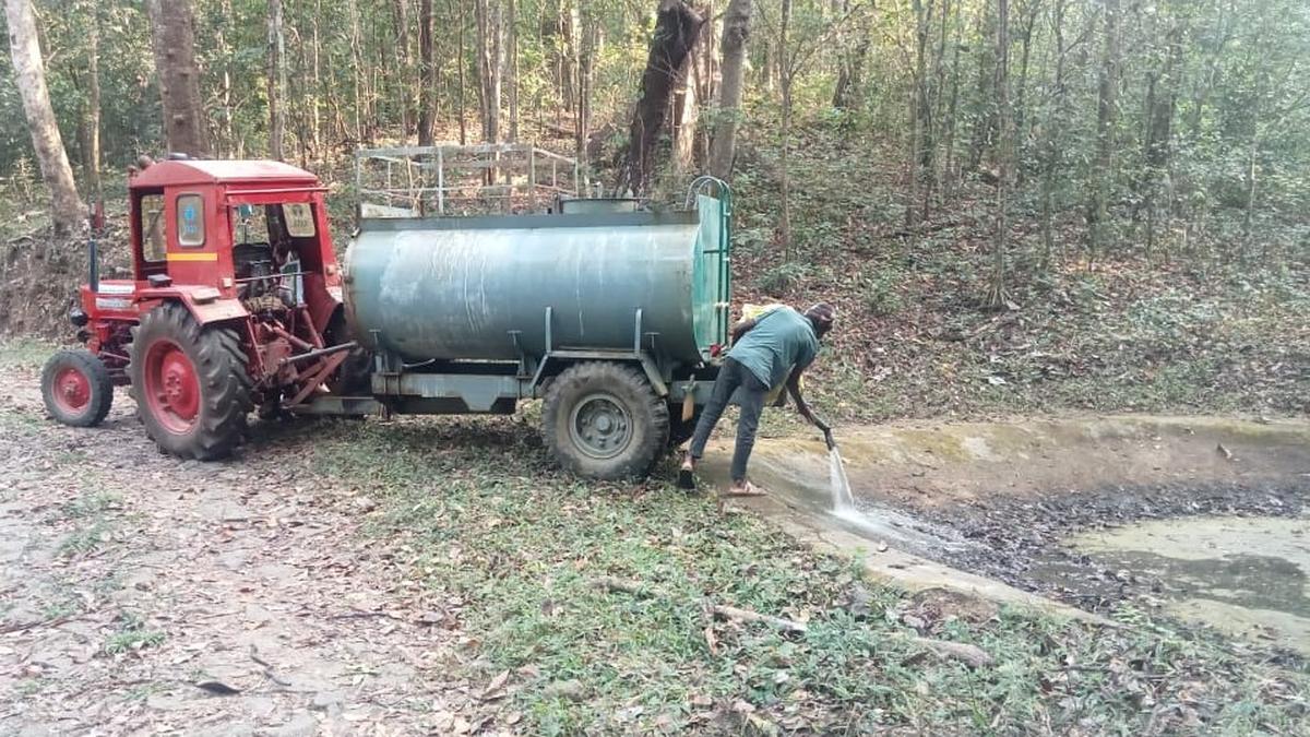 Artificial ponds in Anamalai Tiger Reserve cleaned, filled with water ahead of summer