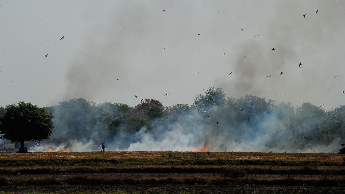 India strives to cut stubble burning to zero to curb pollution