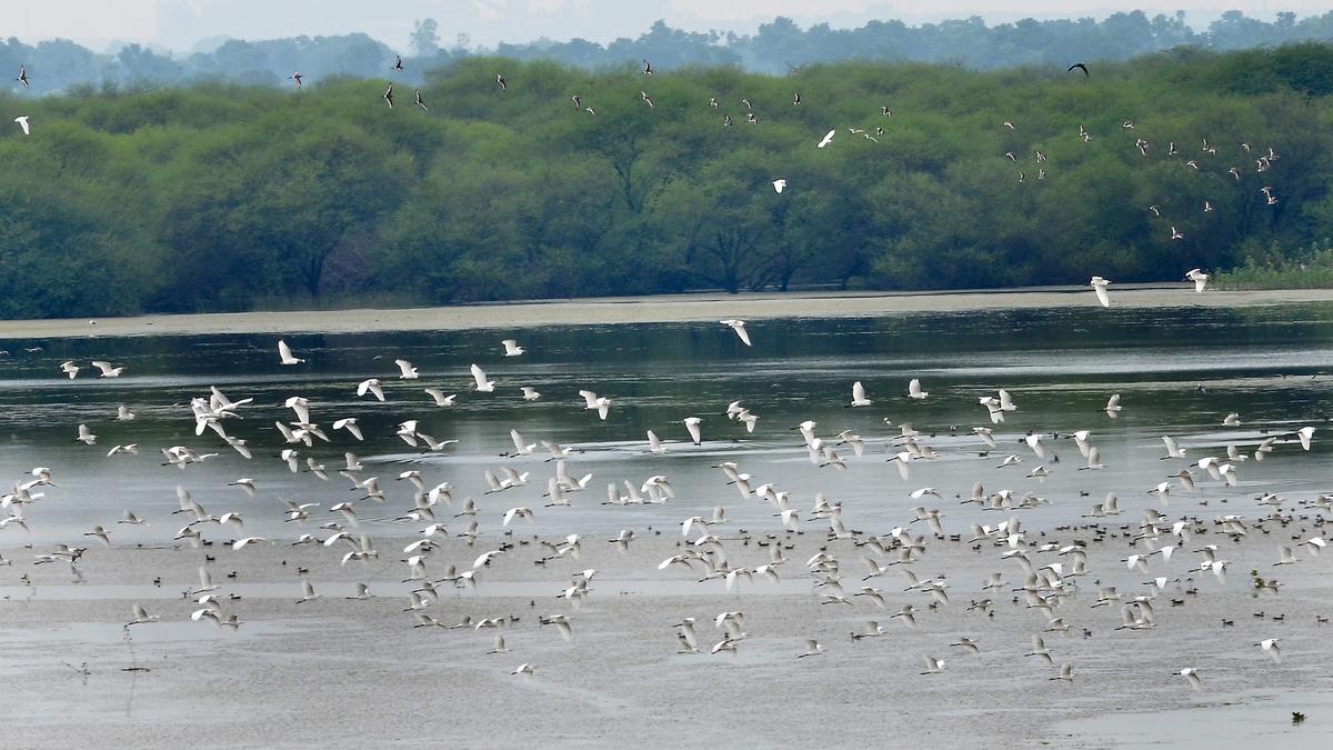 Five more Indian wetlands added to Ramsar list