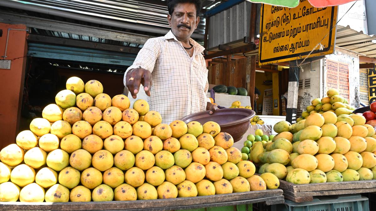Drought hits mango cultivation in Salem region, prices shoot up