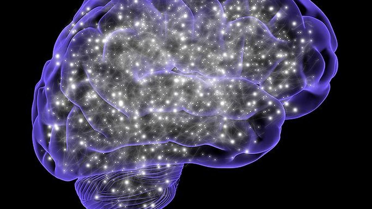 Study suggests mechanism by which physical movement could be linked with brain's cleansing process