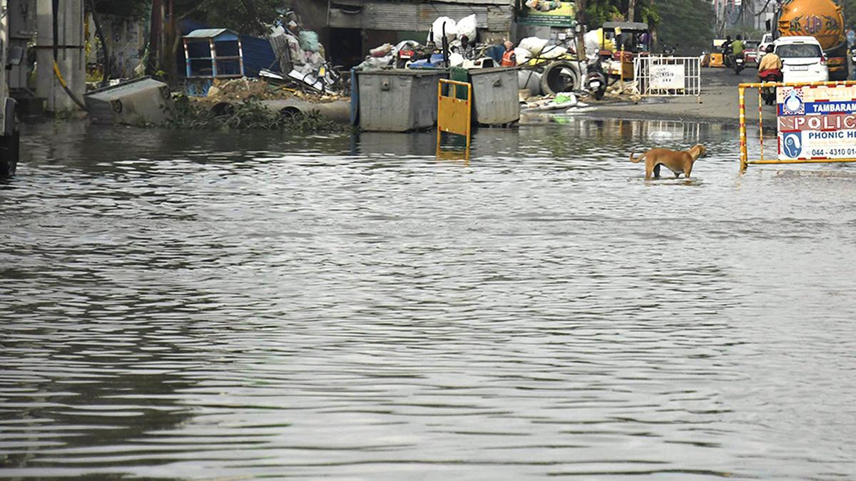 Many localities report persistent water stagnation in city on Saturday