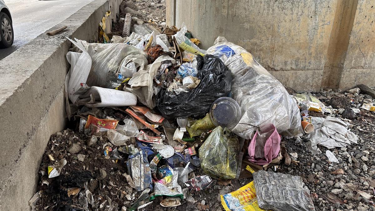 Garbage blackspots return in southeast Bengaluru as collection vehicles arrive late