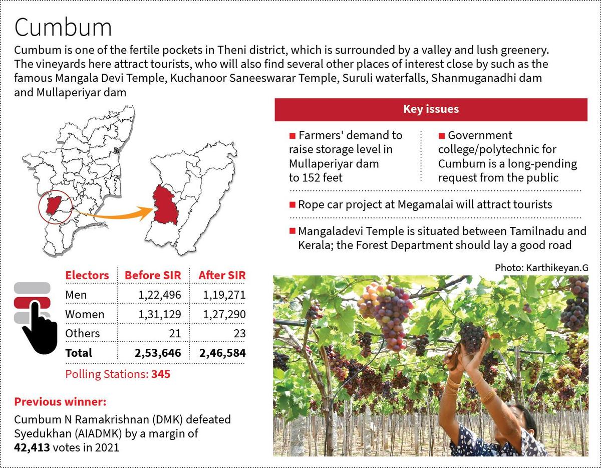 Politicians make promises on Mullaperiyar dam only during poll time, say Cumbum farmers