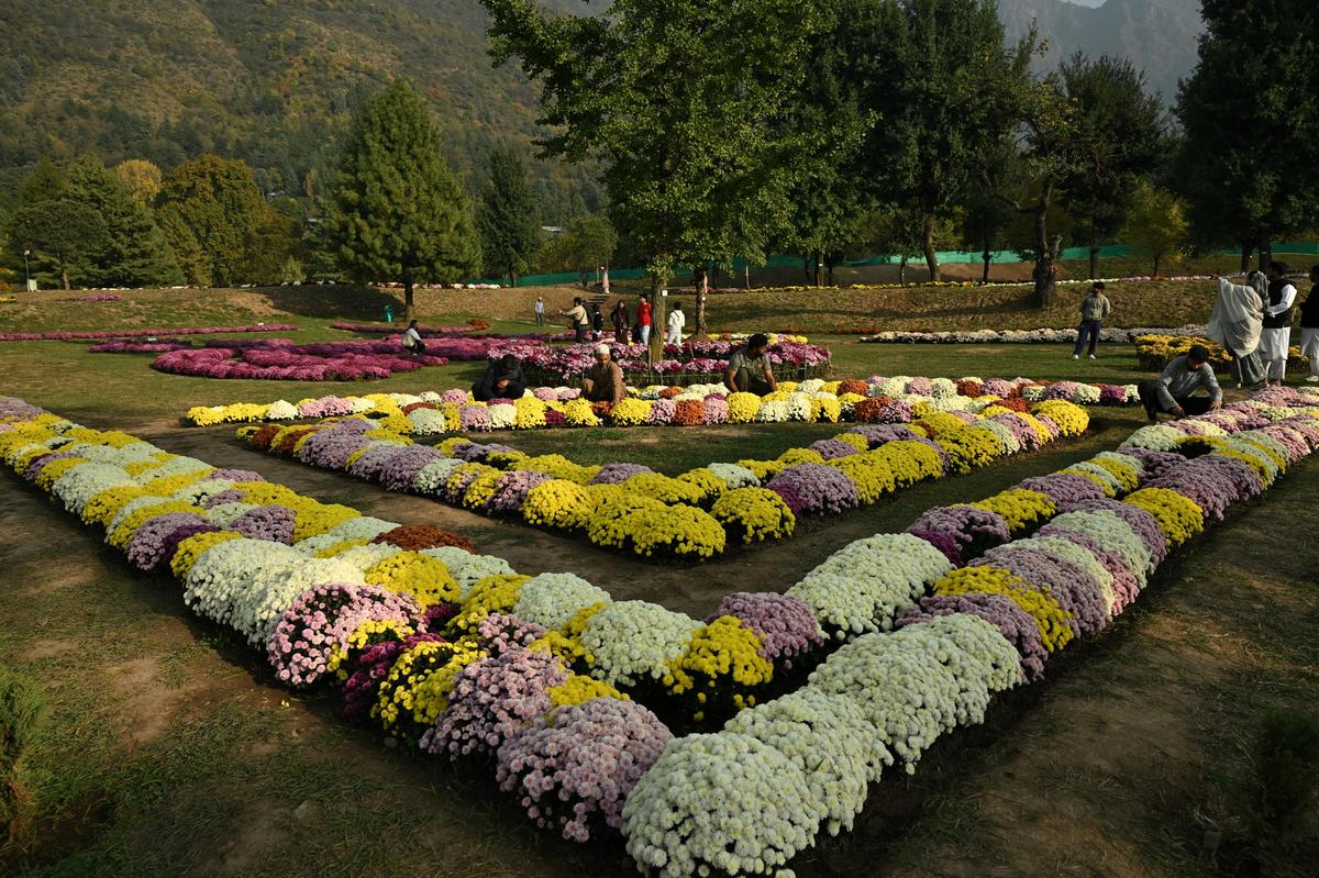 Tourists enjoy near Chrysanthemums Autumn Flower at the new upcoming Theme Park Zabarwan hills in Srinagar, on October 23, 2025. 