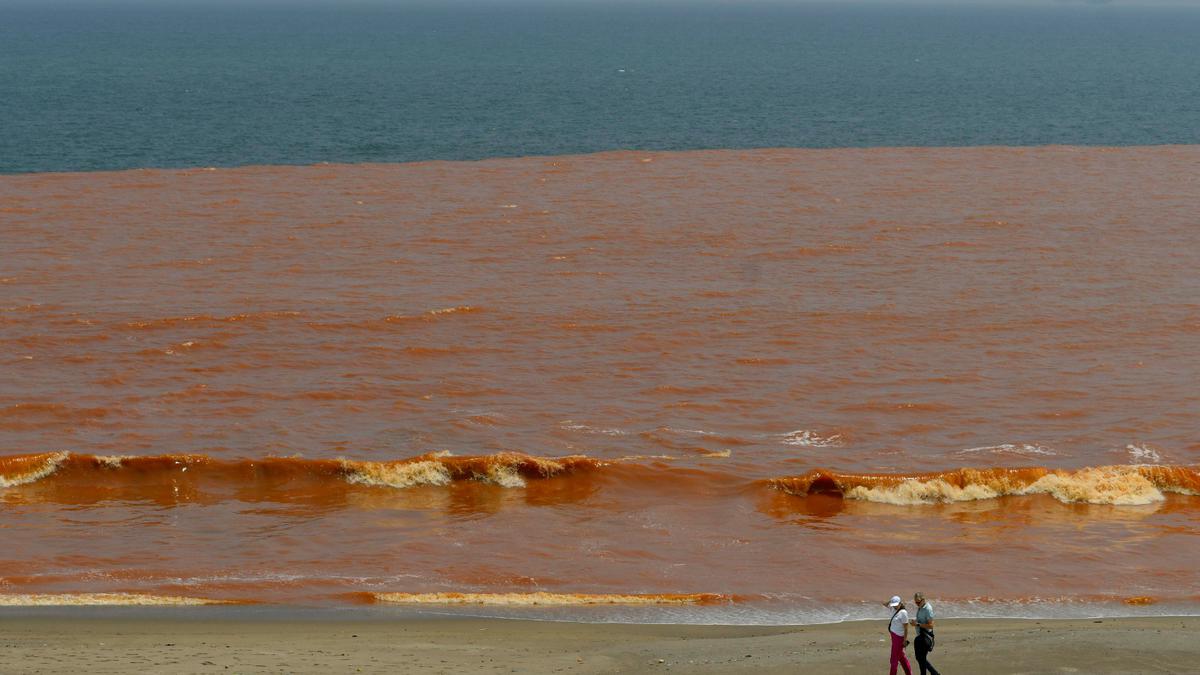 Beach-goers stunned as sea in Puducherry turns red
