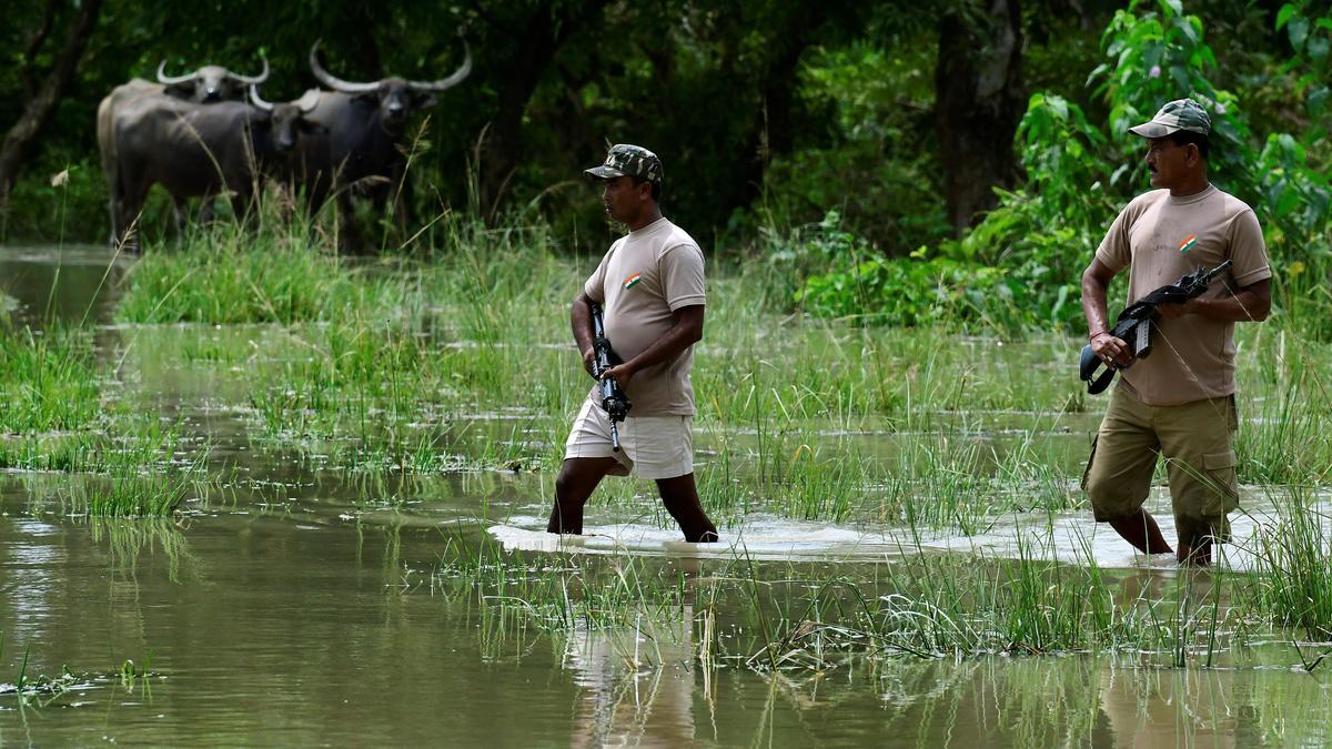 NGT stays Assam order deploying forest personnel for poll duty, flags biodiversity risks