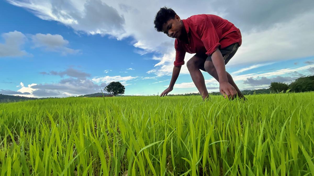 A bit of a blur over India’s new carbon credit plan