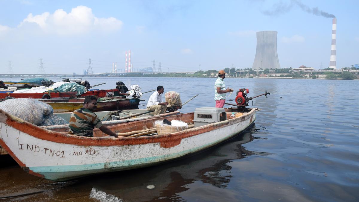 NGT seeks update from T.N. govt. on Ennore Creek restoration