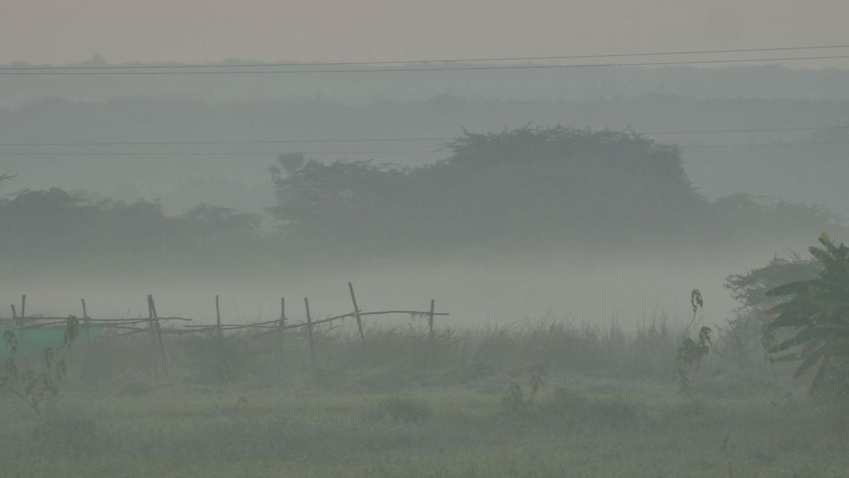 Cold winters unlikely in Telangana; Cyclone Dana may not brings rains to the State