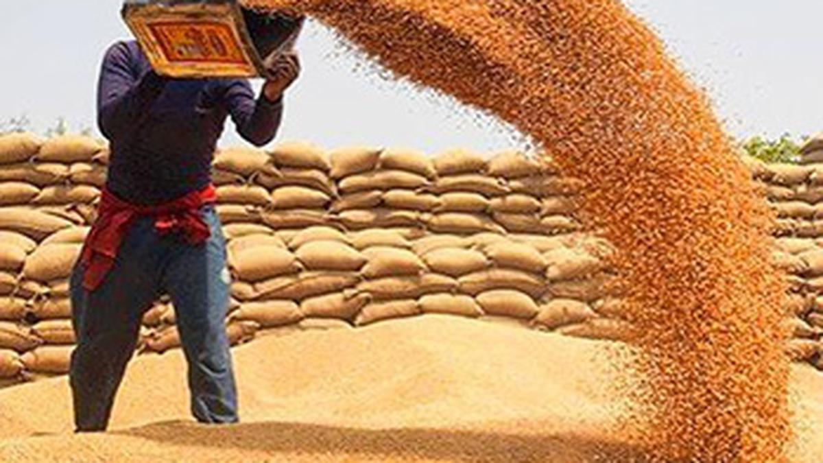Explained | Why did the govt. impose a ceiling on wheat stocks?
Premium