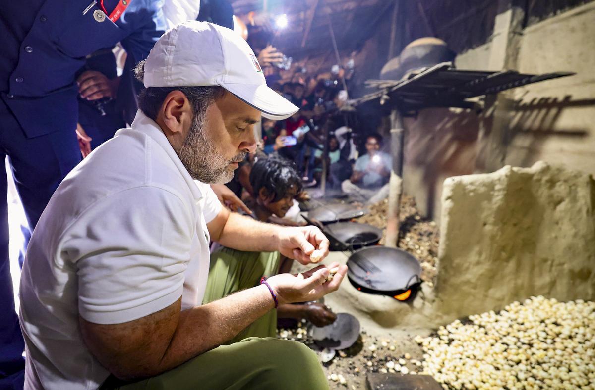 Rahul Gandhi at a makhana processing unit in Bihar. Rahul Gandhi at a makhana processing unit in Bihar.