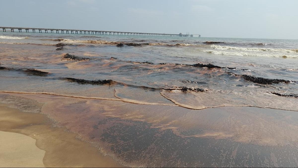 Nagapattinam oil spill: National Green Tribunal records no-fault liability; orders CPCL to pay ₹5 crore compensation