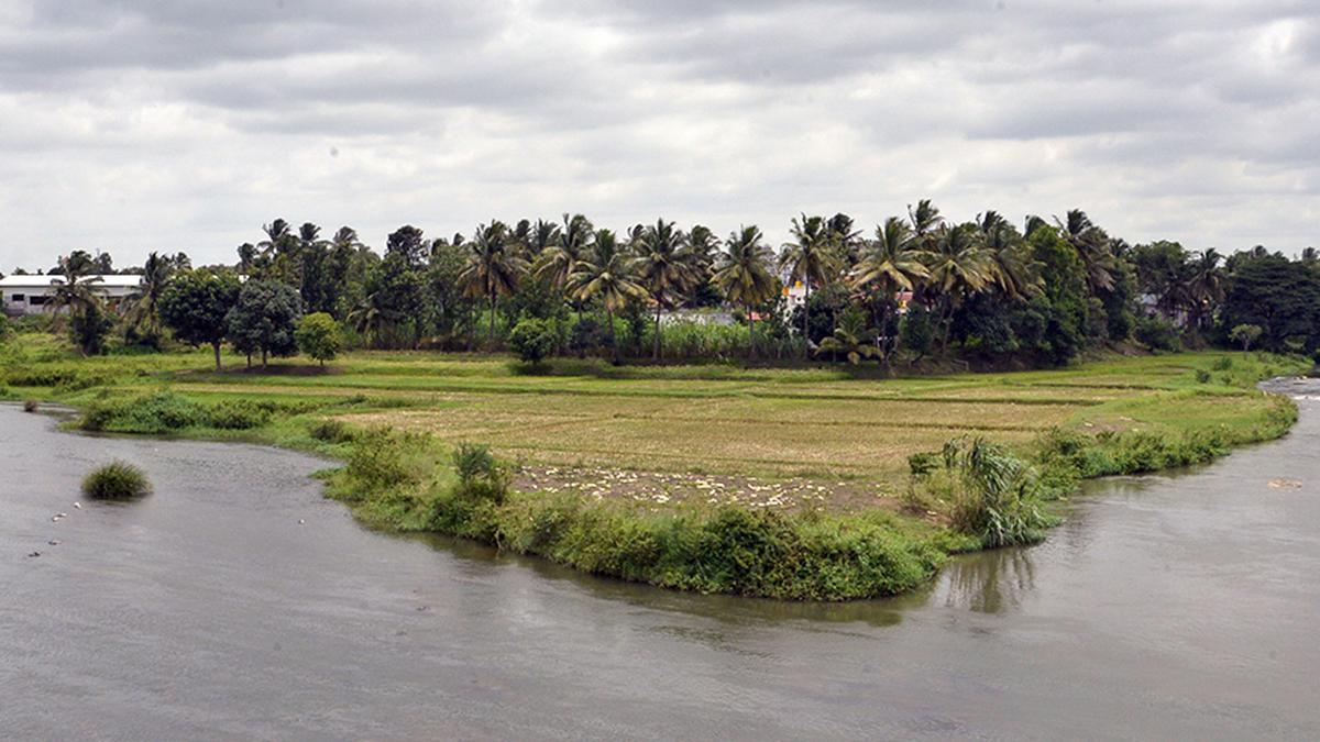 Cauvery water row | Karnataka to consult legal experts on Cauvery Water Management Authority directive