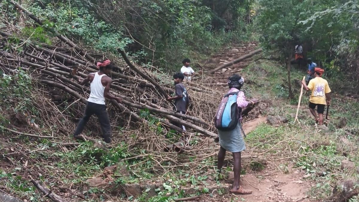 Various arrangements made as Vellingiri hills open to pilgrims from February 1 - The Hindu
