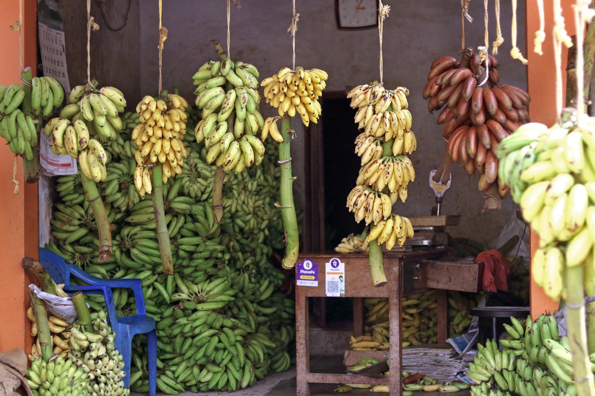 Verschillende soorten bananen te koop in een winkel langs de weg in Thiruvananthapuram 