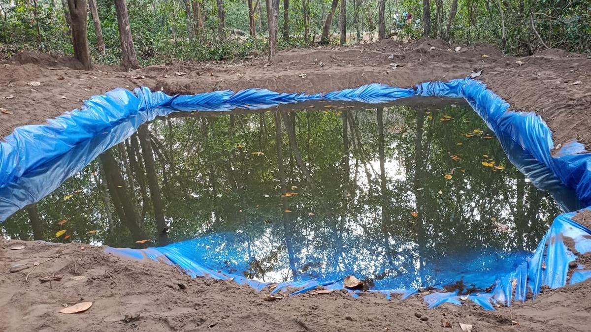 The water hole built by the forest department officials of the Inchathotty Forest Station  