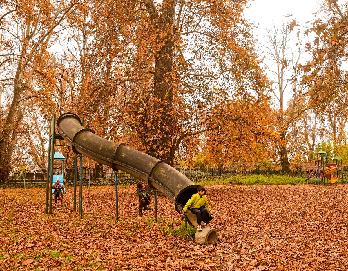 In Frames | Chinars work the autumn magic 2 autumninsrinagar
