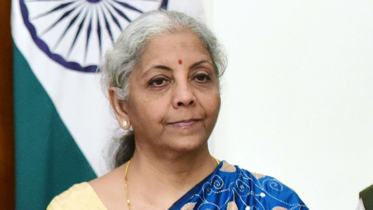 Expert says Finance Minister has adopted a professional approach in the present context of Indian economy