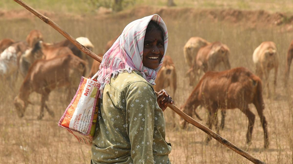 Temperatures to rise by 2-3 degrees in isolated pockets of Telangana in next few days: IMD