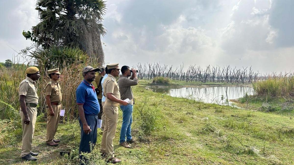 Synchronised census of wetland birds begins in Villupuram and Cuddalore districts