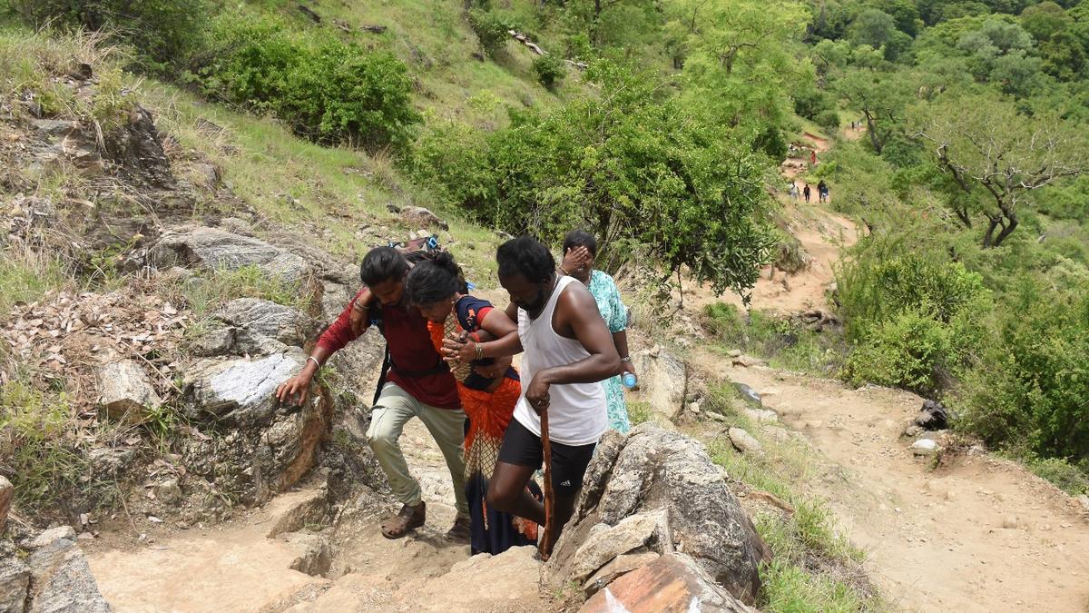 As number of devotees to temple festivals in MTR spikes, conservationists warn of hazards to wildlife, habitat