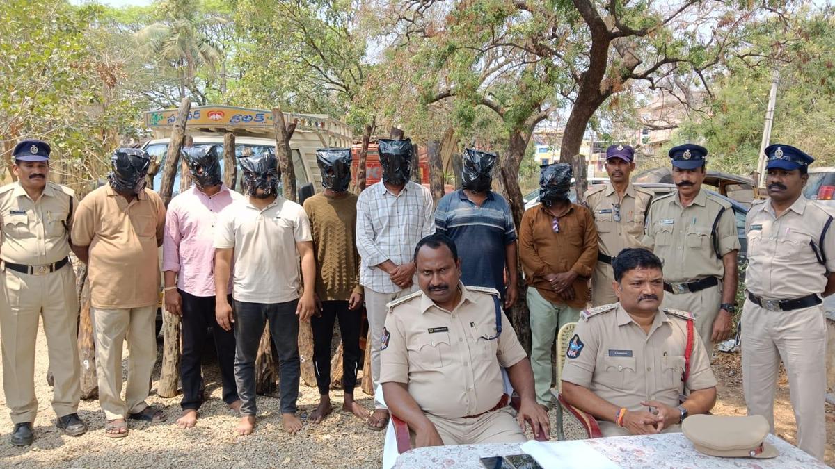 Eight held, 17 red sanders logs seized in Kadapa