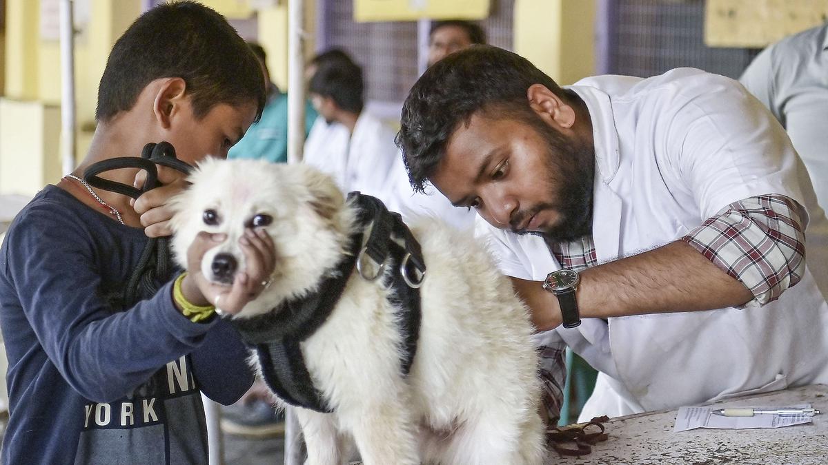 Tamil Nadu veterinary university TANUVAS releases merit list