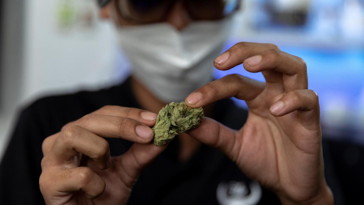 Thailand becomes first Asian nation to make marijuana legal for medical use