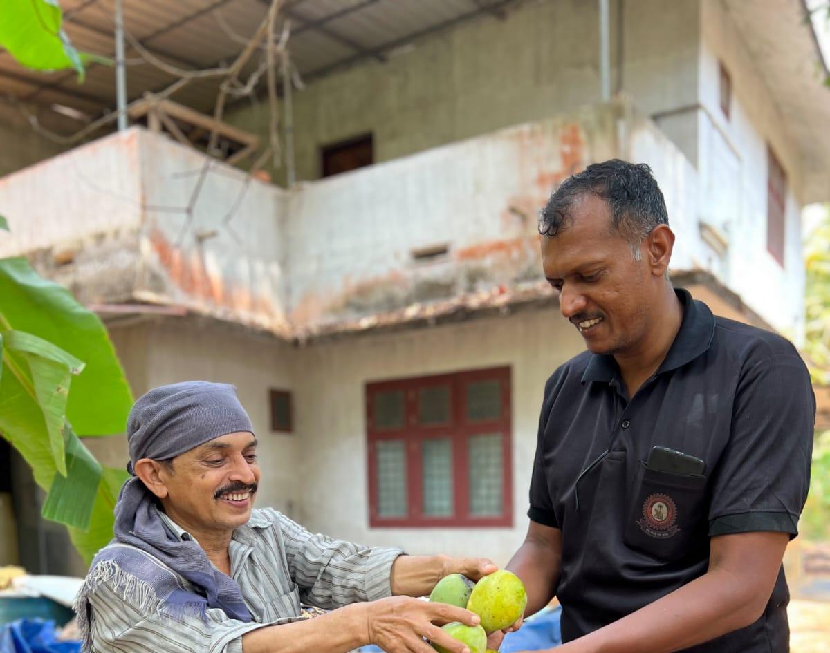 Shyju Machathi (right) collecting native mangoes for the mango festival from Parassinikkadavu