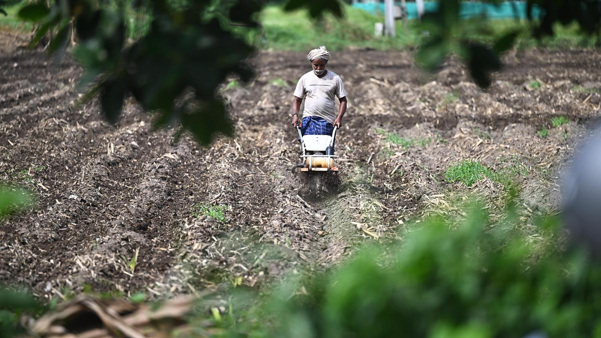 GST cut, strong monsoon, better reservoir levels to drive India’s demand for farm machinery up during H2: VST Tillers Tractors CEO