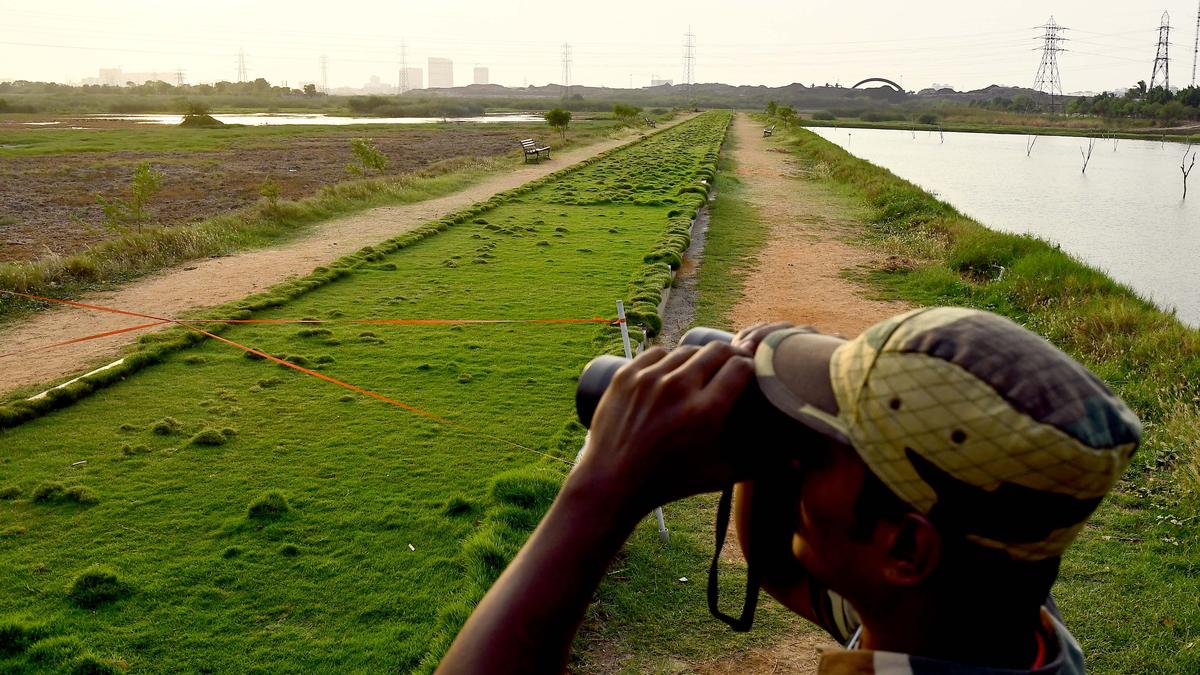A parallel Margazhi festival: Where birds call the tunes