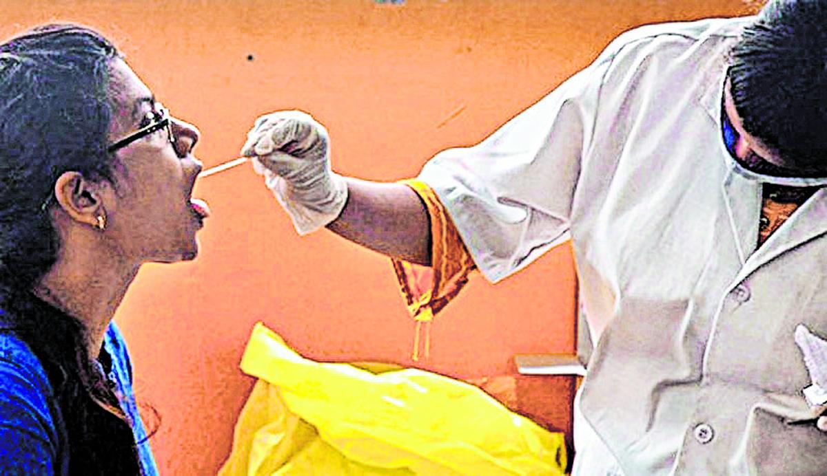 31 persons test positive for COVID-19 in State; 24 districts log nil case