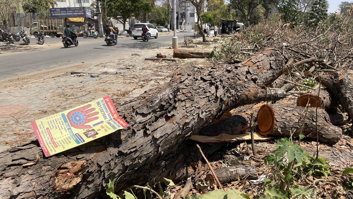 Over 1,500 trees will be axed for Baiyappanahalli - Chikkabanavara line ...