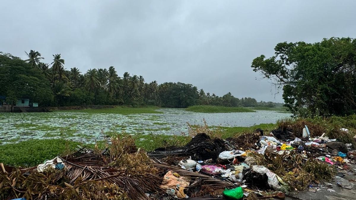 Unregulated dumping of waste threatens Parakkai Kulam, an integral part of Suchindram-Theroor wetland complex