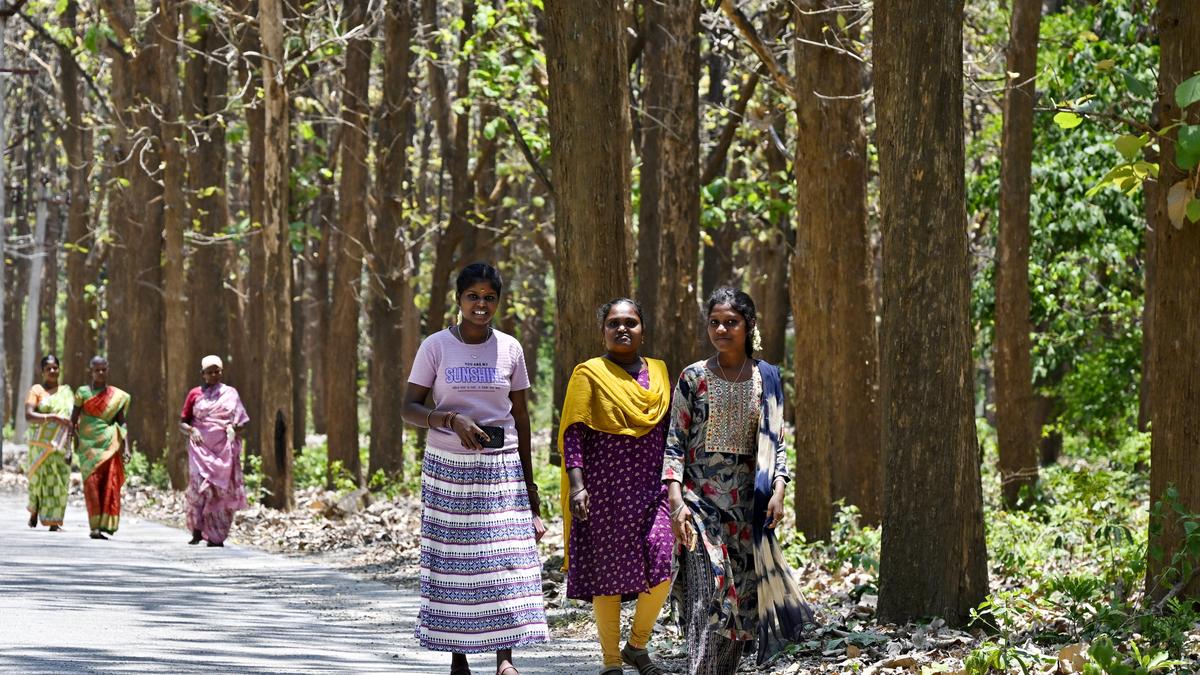 Coimbatore registers 84.78% voter turnout