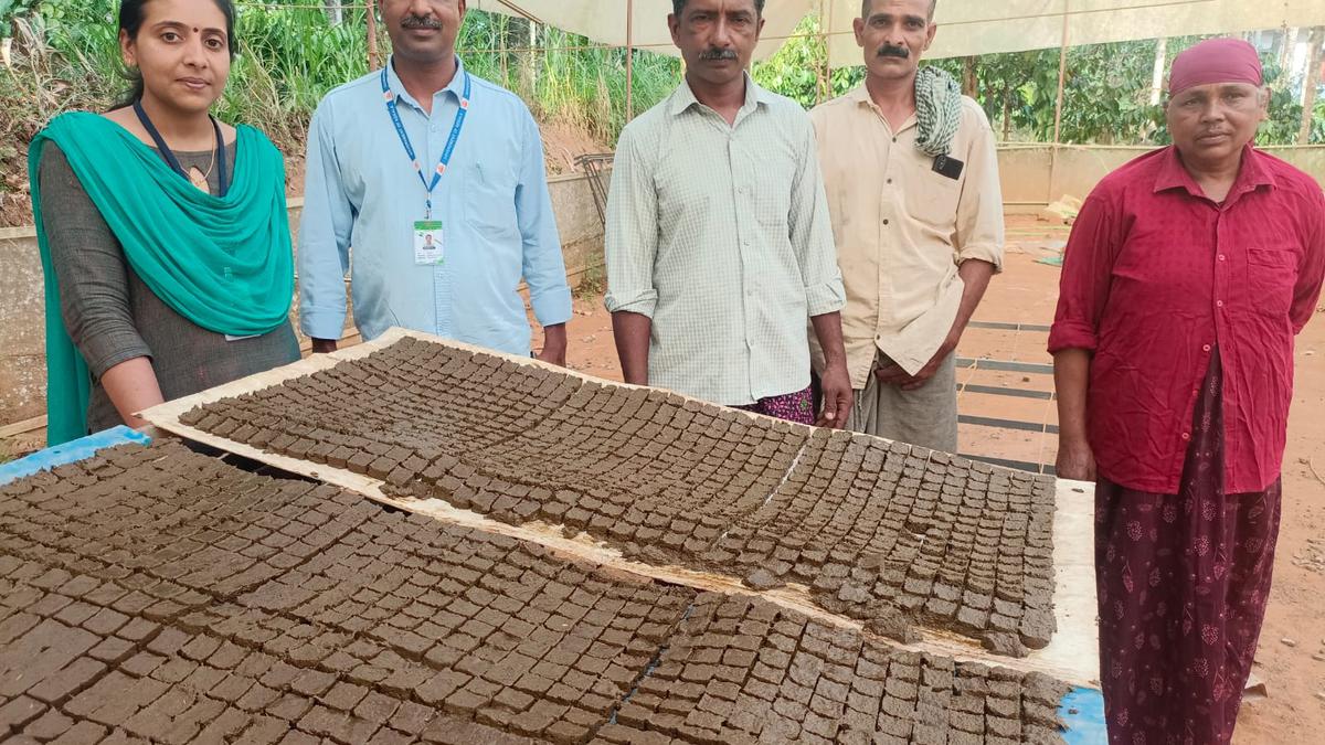 Wayanad paddy farmer to showcase his cultivation method at Rashtrapati Bhavan