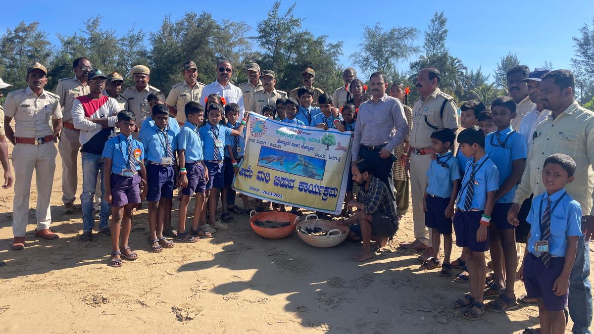 The Forest department involving students and general public during an event that showcased how to release Olive Ridley hatchlings to the Sea in the Hiregutthi range, Honnavar taluk. The Forest department involving students and general public during an event that showcased how to release Olive Ridley hatchlings to the Sea in the Hiregutthi range, Honnavar taluk.