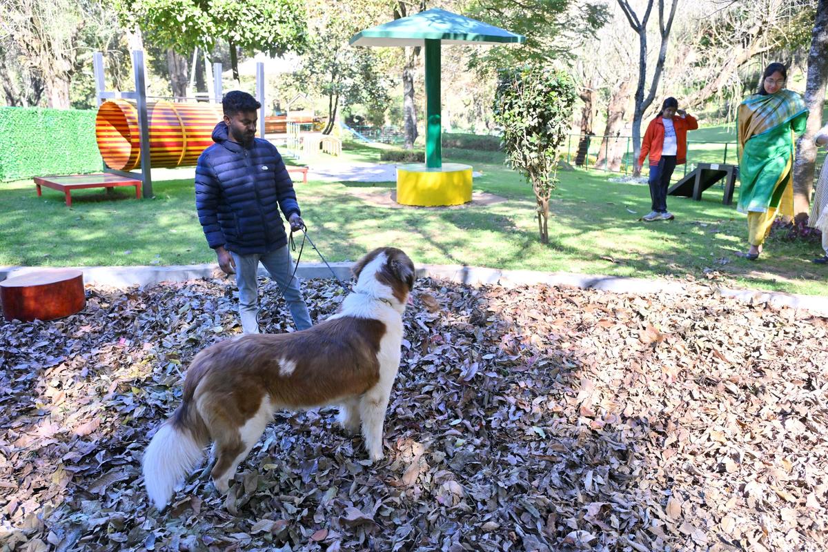 Lakshmi Bhavya Tanneeru IAS, the Nilgiris District Collector at the park where pet owners should follow pet etiquette 