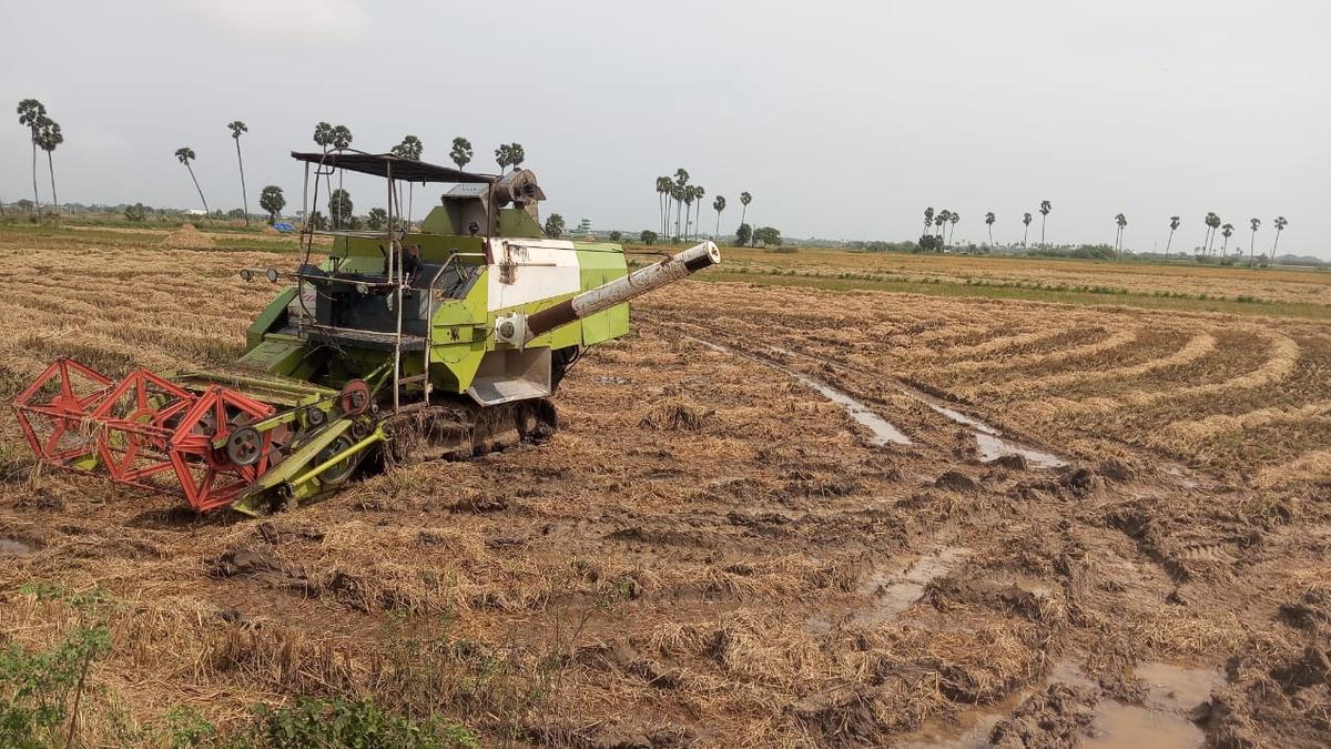 Farmers demand more government harvester machines to counter dominance by private owners